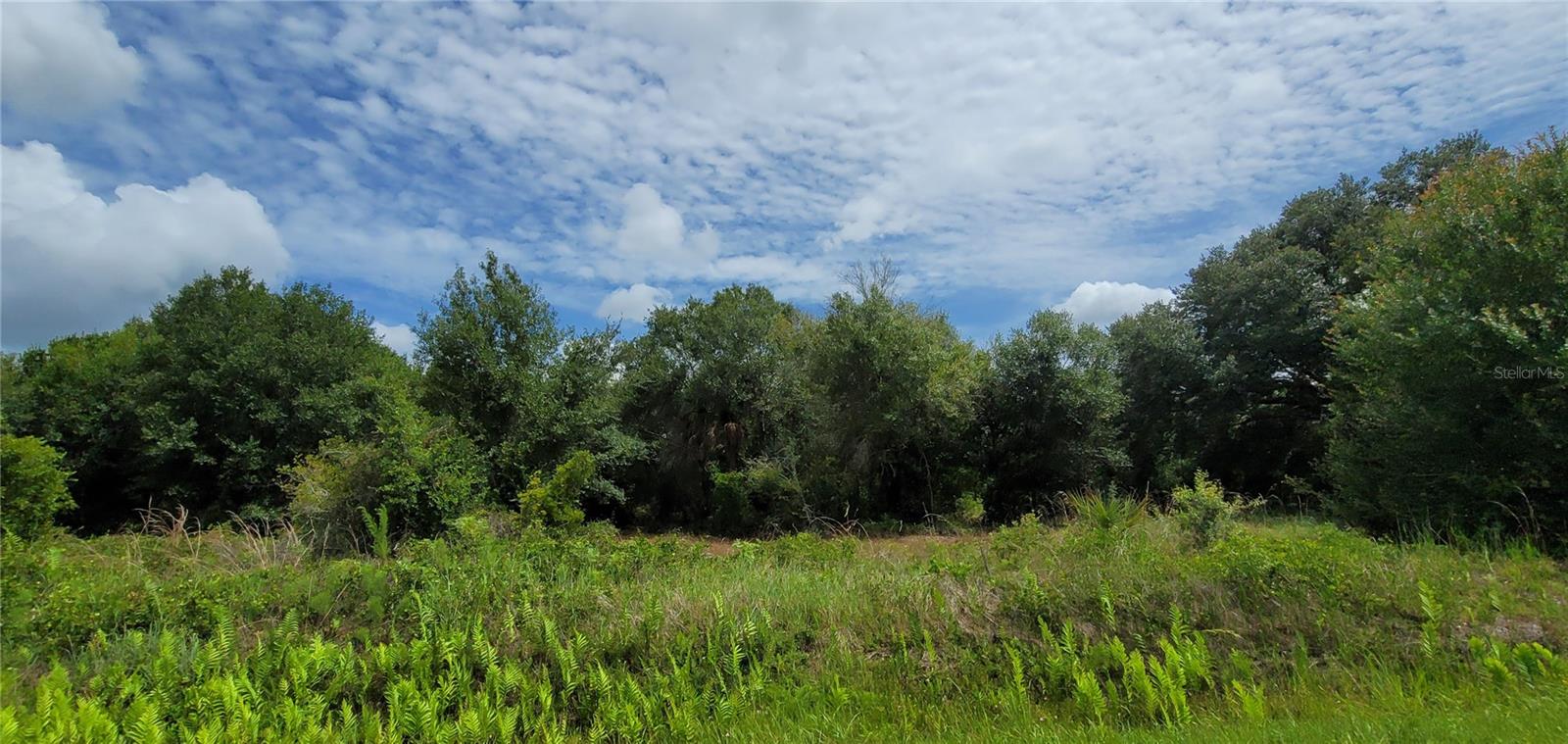 NW 268TH ST, OKEECHOBEE, FL, 34972