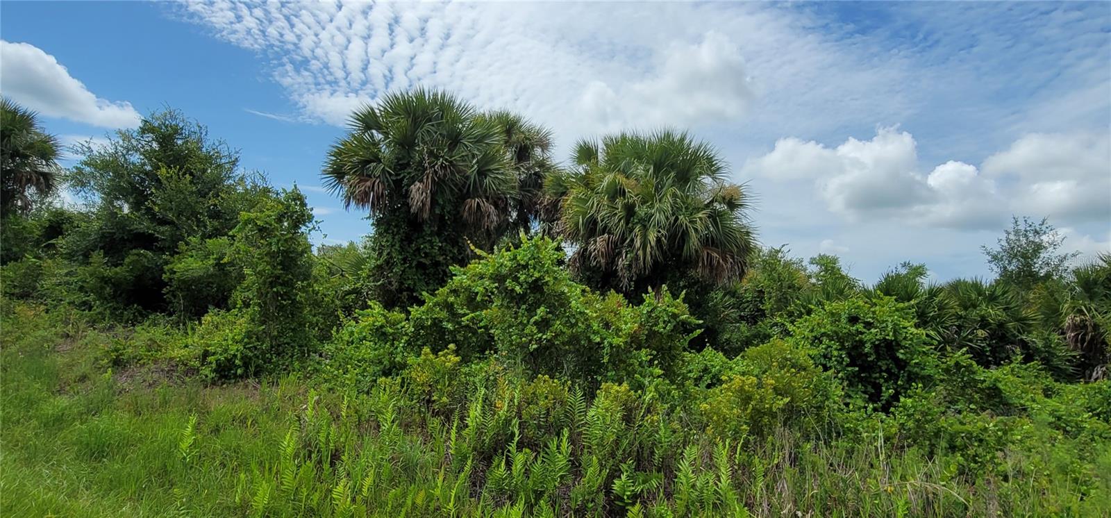 NW 268TH ST, OKEECHOBEE, FL, 34972