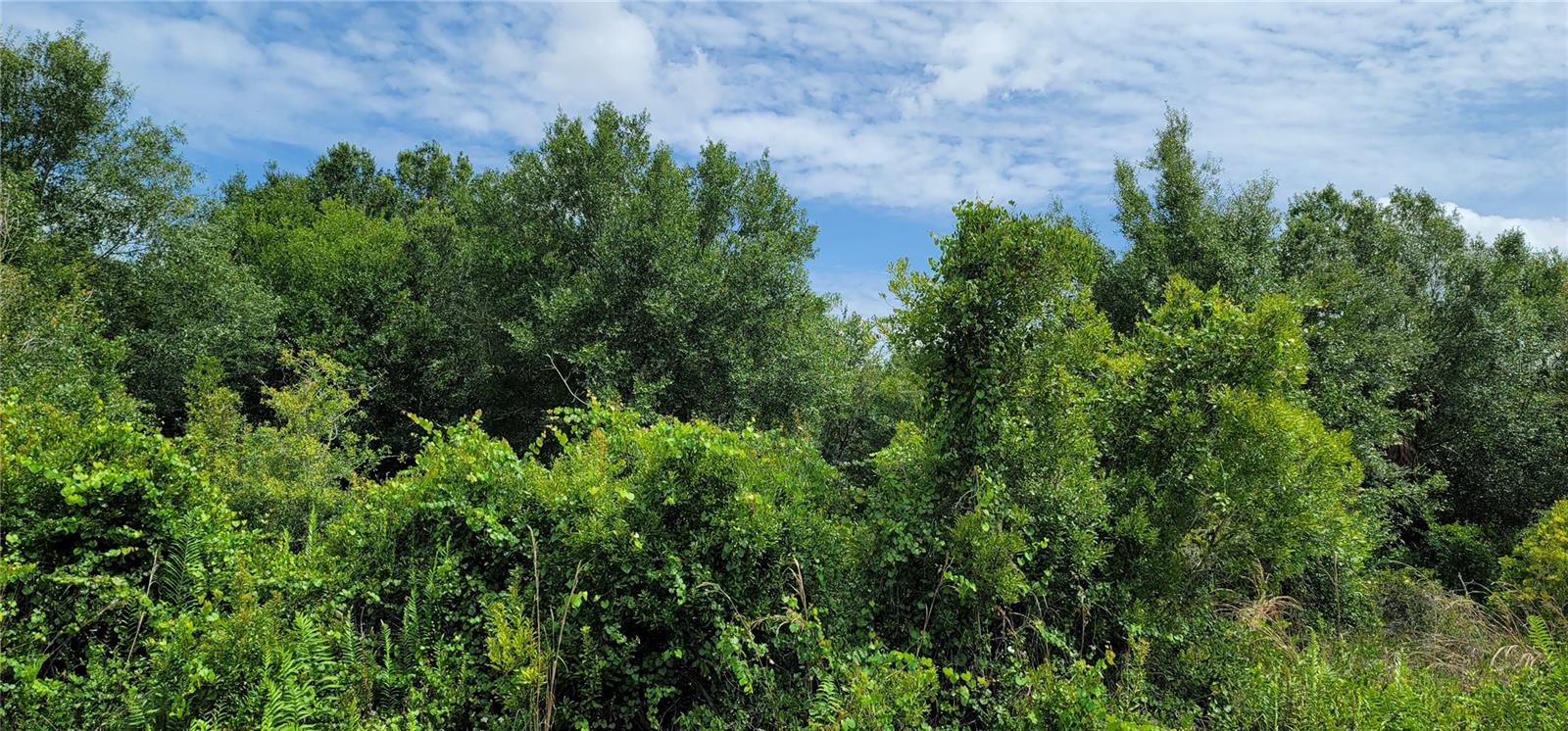 NW 268TH ST, OKEECHOBEE, FL, 34972