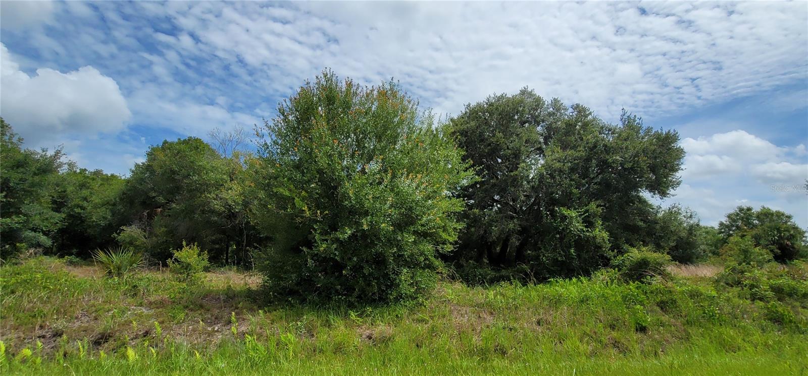 NW 268TH ST, OKEECHOBEE, FL, 34972