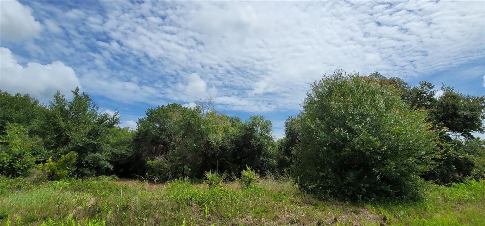 NW 268TH ST, OKEECHOBEE, FL, 34972