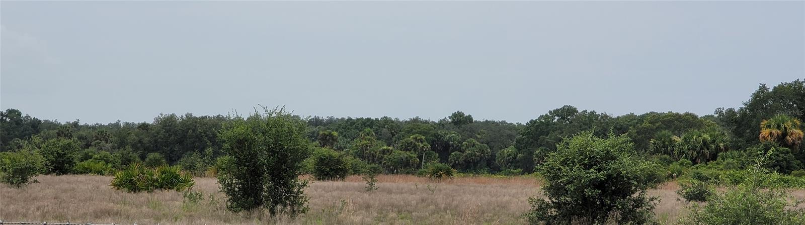 NW 268TH ST, OKEECHOBEE, FL, 34972