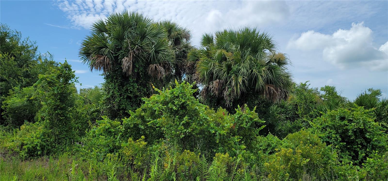 NW 268TH ST, OKEECHOBEE, FL, 34972