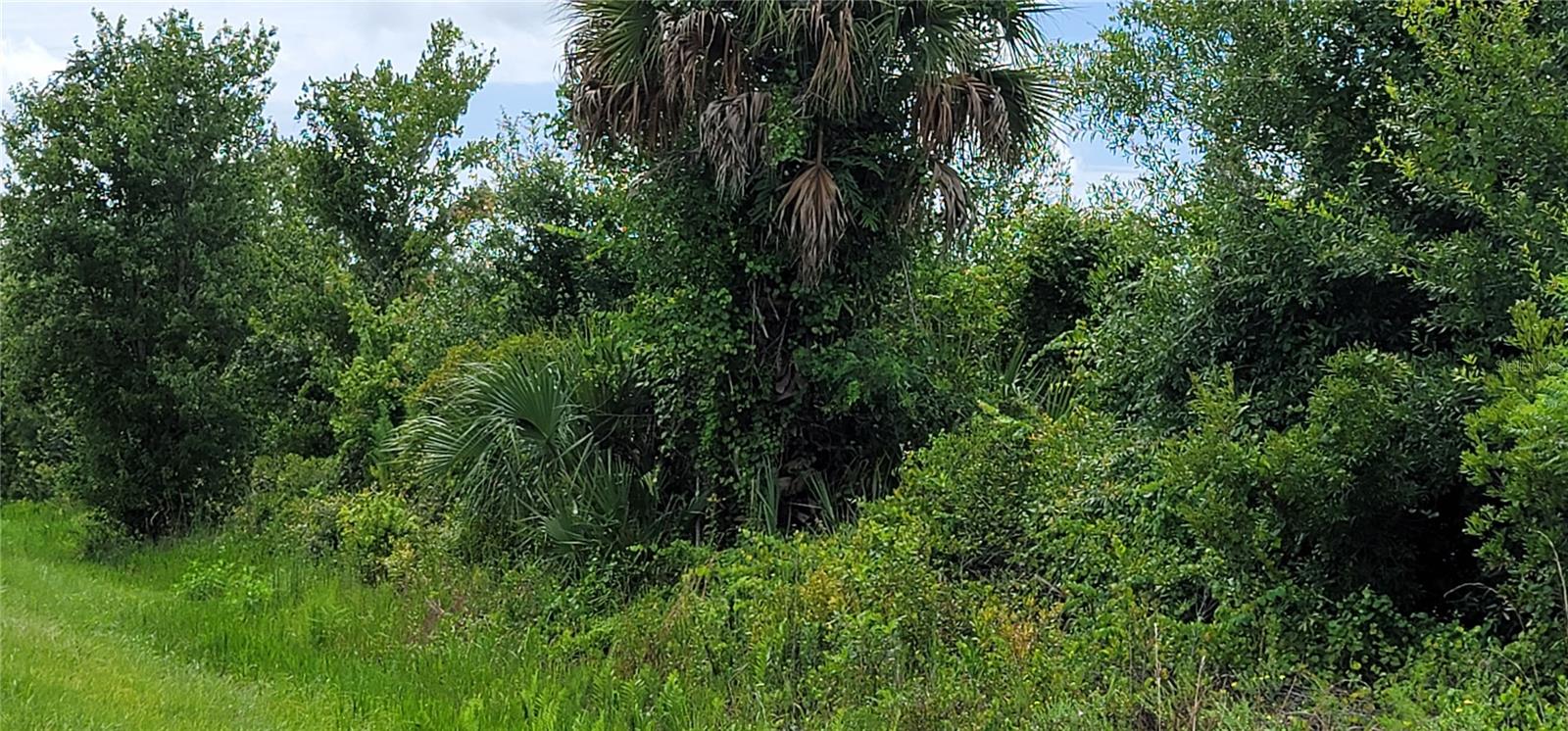 NW 268TH ST, OKEECHOBEE, FL, 34972