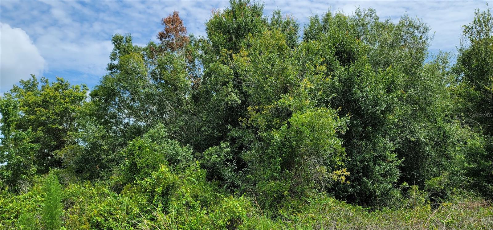 NW 268TH ST, OKEECHOBEE, FL, 34972