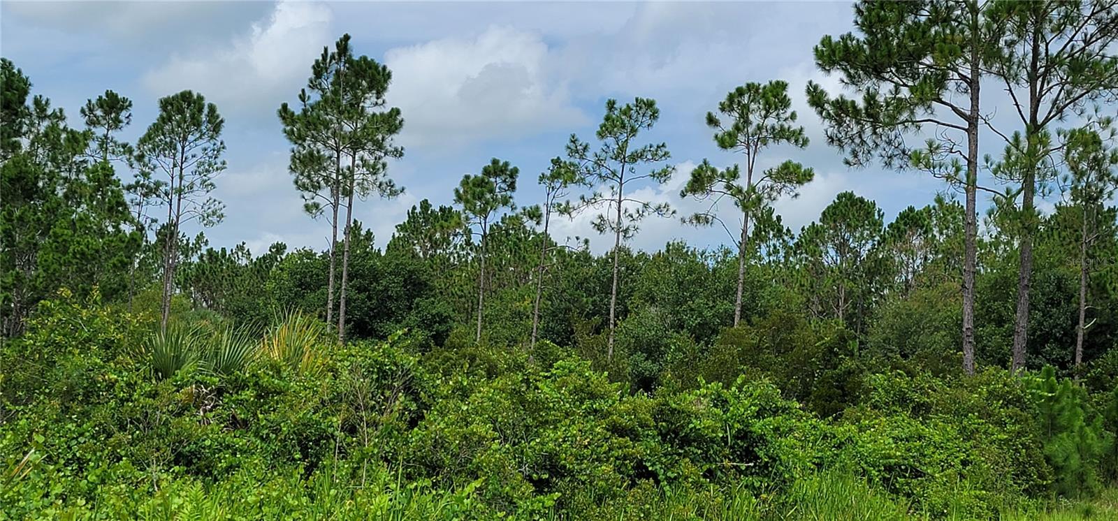 NW 268TH ST, OKEECHOBEE, FL, 34972