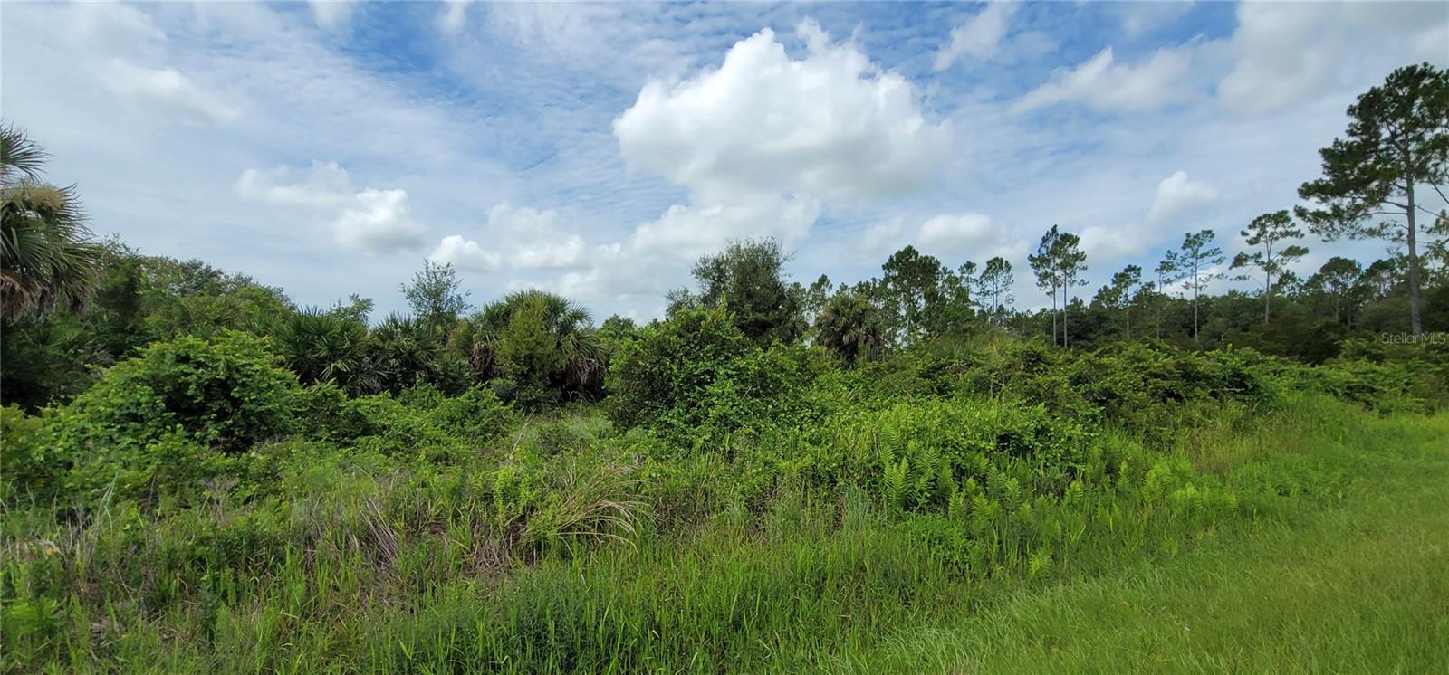 NW 268TH ST, OKEECHOBEE, FL, 34972