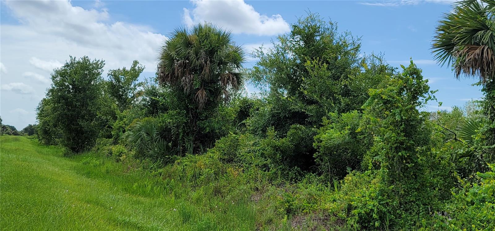 NW 268TH ST, OKEECHOBEE, FL, 34972