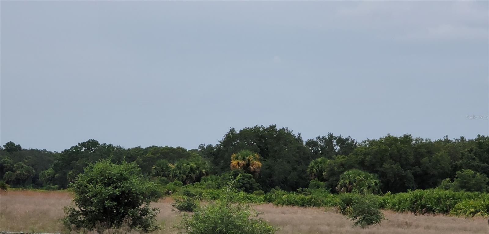 NW 268TH ST, OKEECHOBEE, FL, 34972