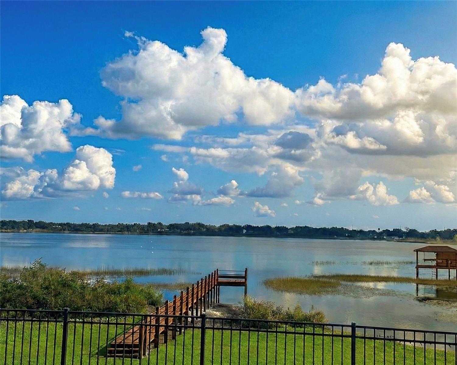 236 CALADIUM AVE, LAKE ALFRED, FL, 33850