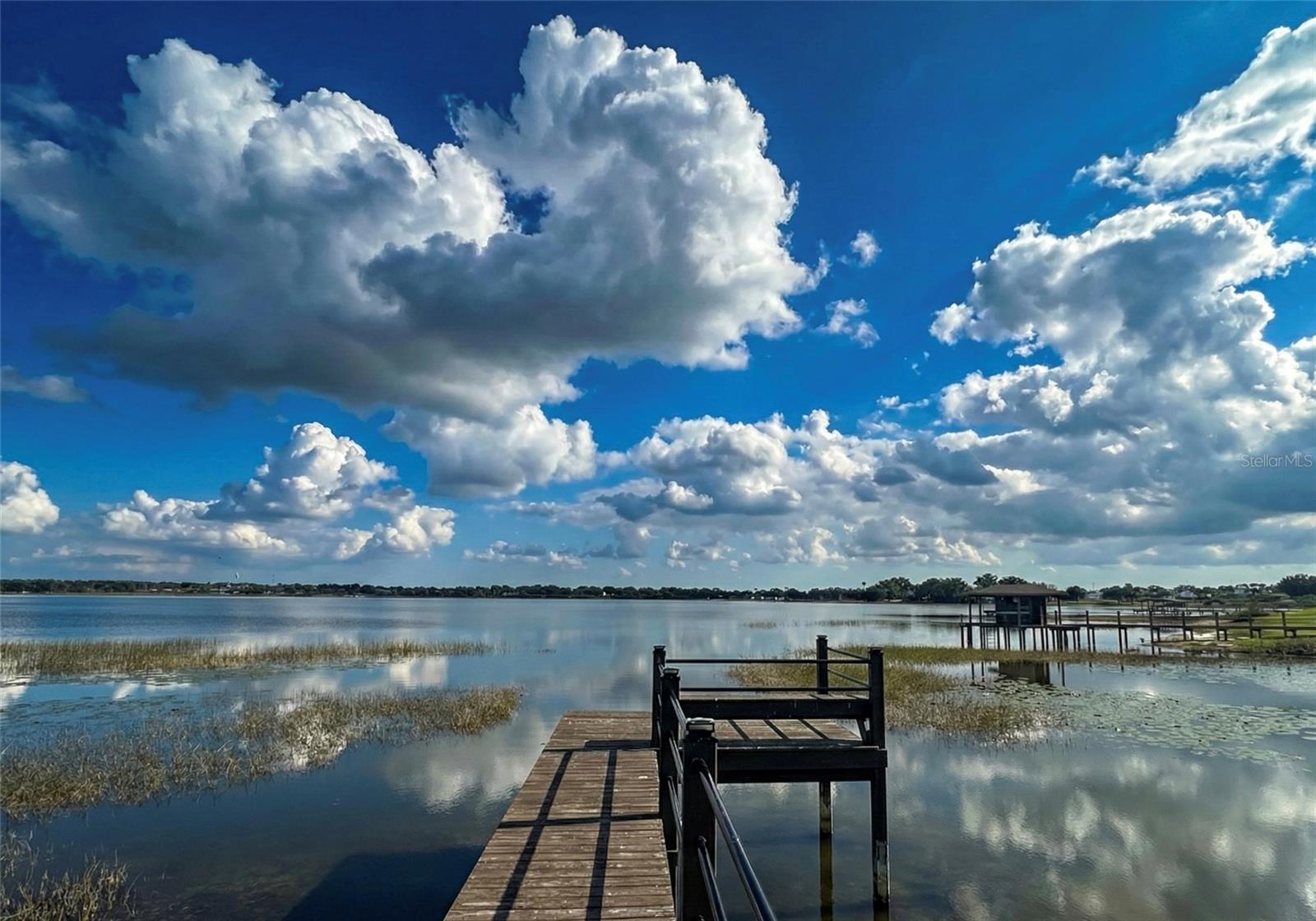 236 CALADIUM AVE, LAKE ALFRED, FL, 33850