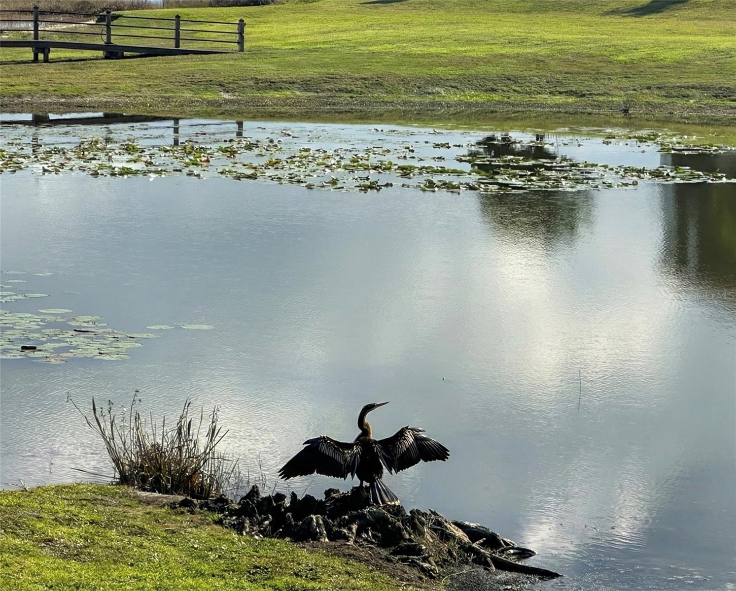 236 CALADIUM AVE, LAKE ALFRED, FL, 33850