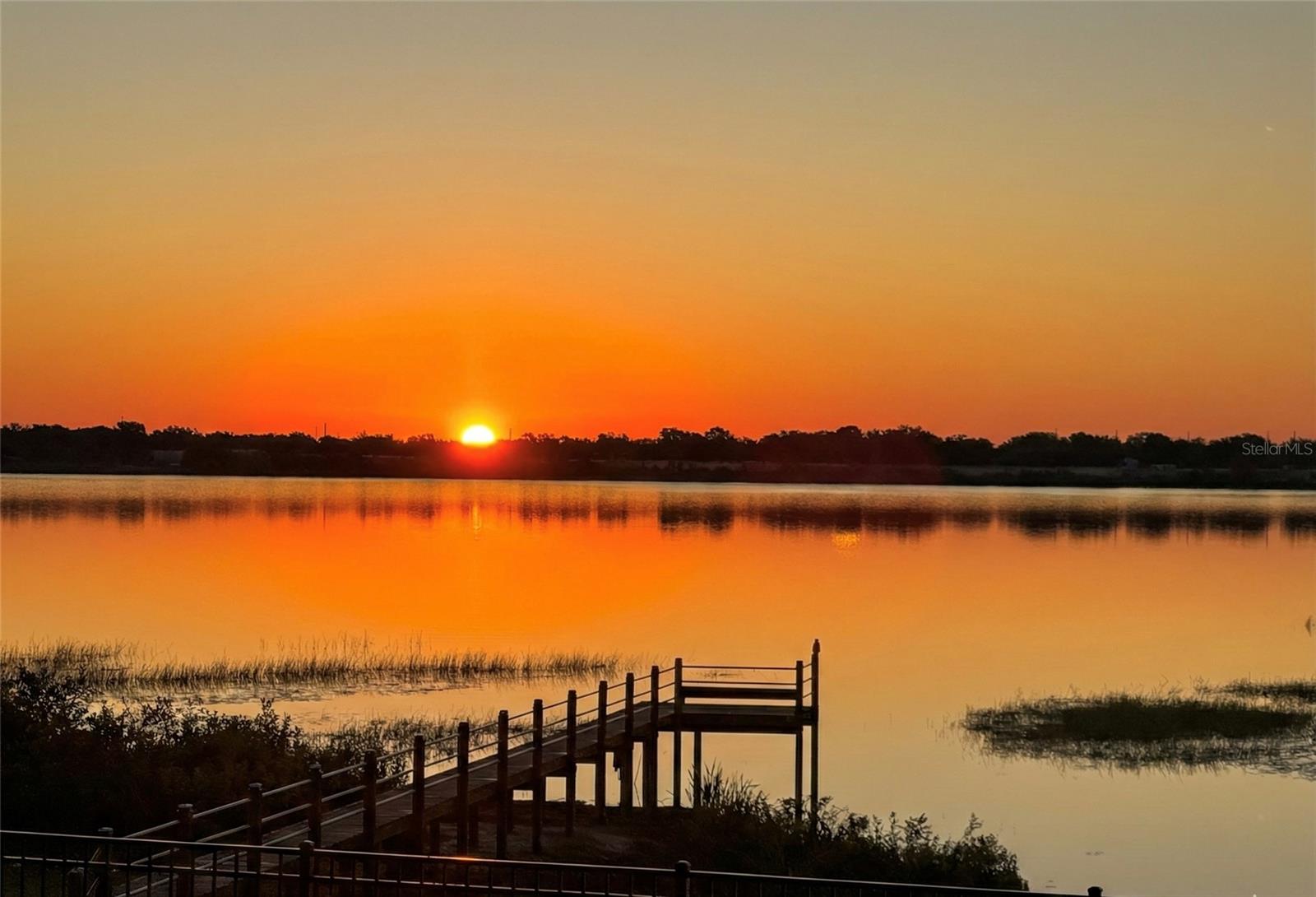 236 CALADIUM AVE, LAKE ALFRED, FL, 33850