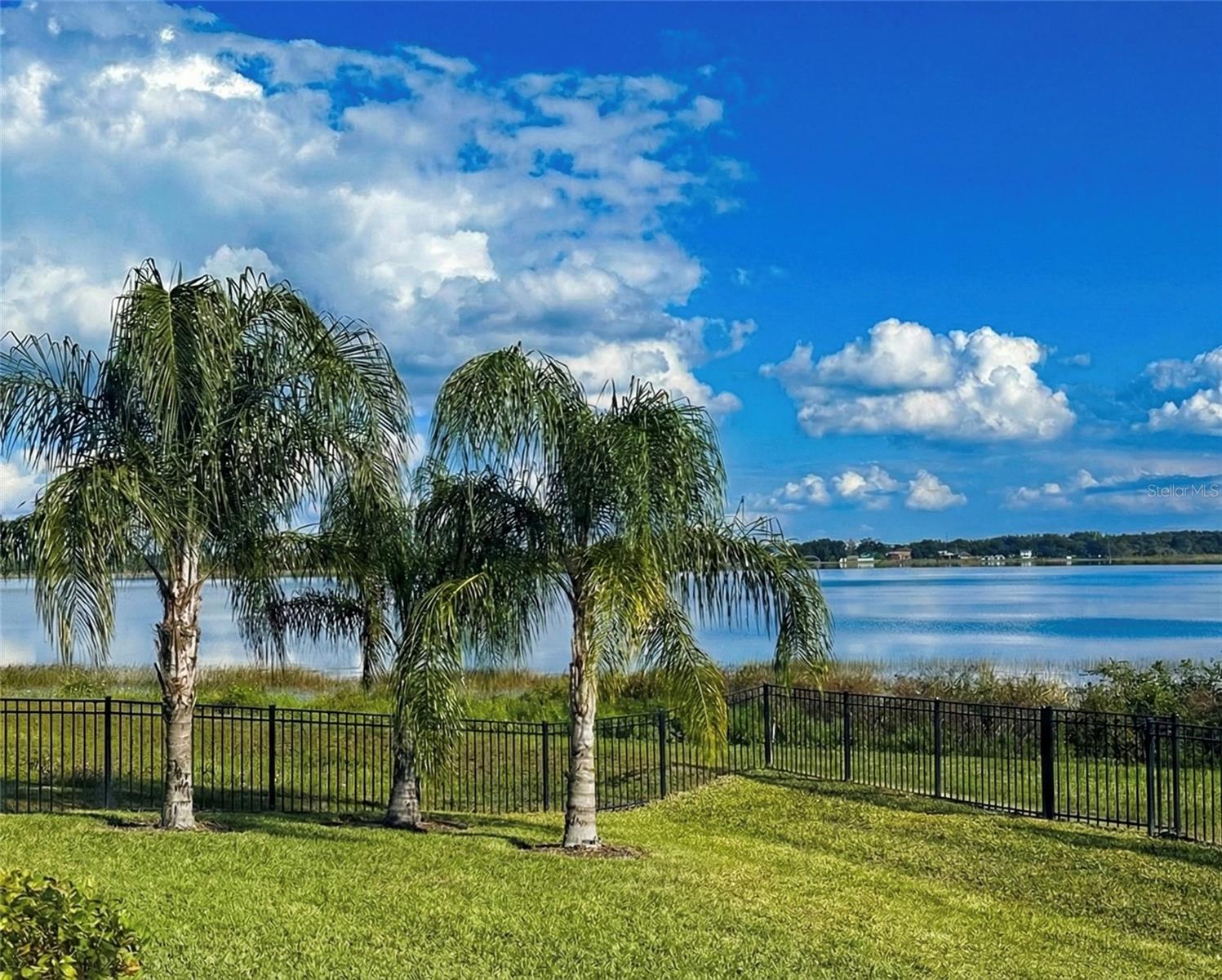 236 CALADIUM AVE, LAKE ALFRED, FL, 33850