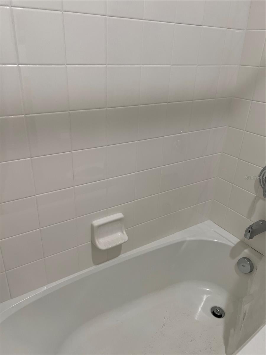 439 IRONSIDE TRAIL DR, GROVELAND, FL, 34736