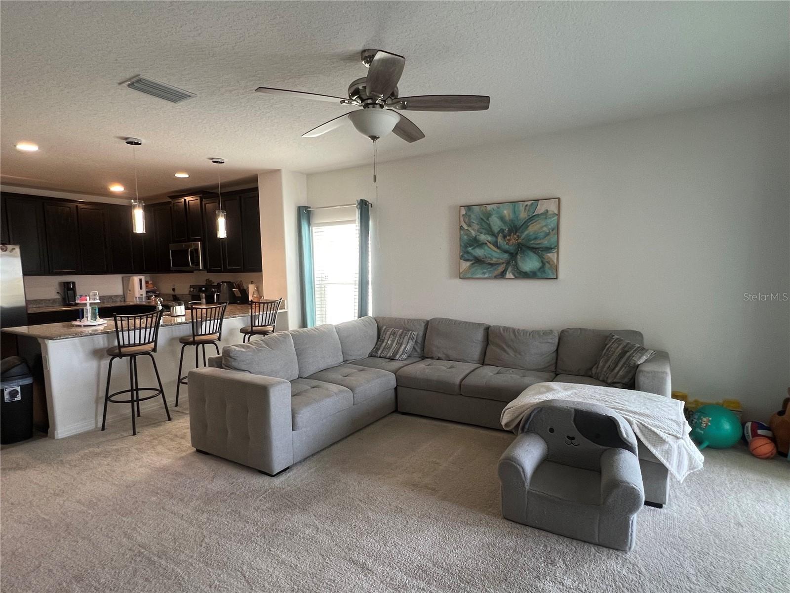 439 IRONSIDE TRAIL DR, GROVELAND, FL, 34736