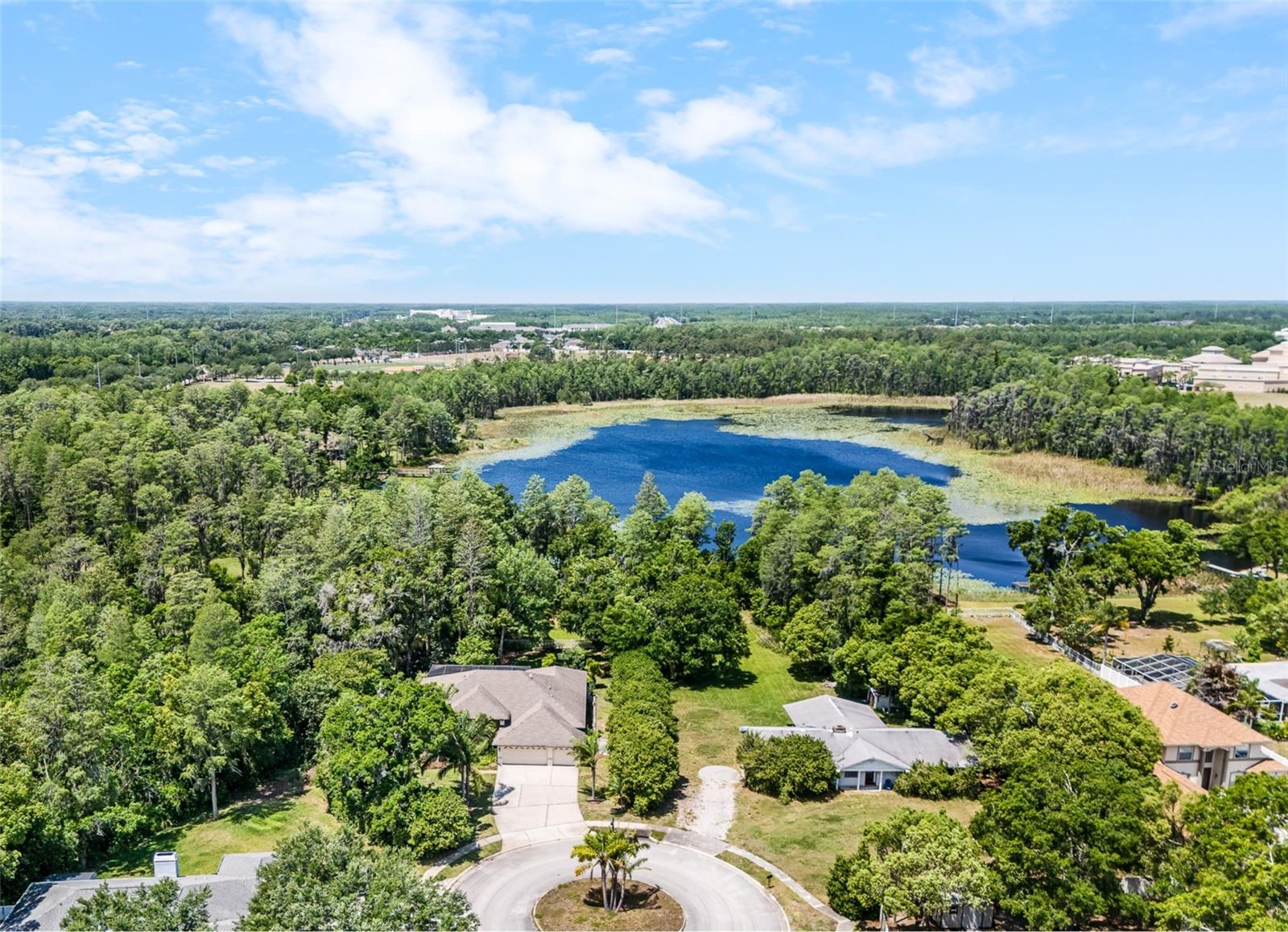 1012 KINGSBOROUGH GARDENS CT, LUTZ, FL, 33548