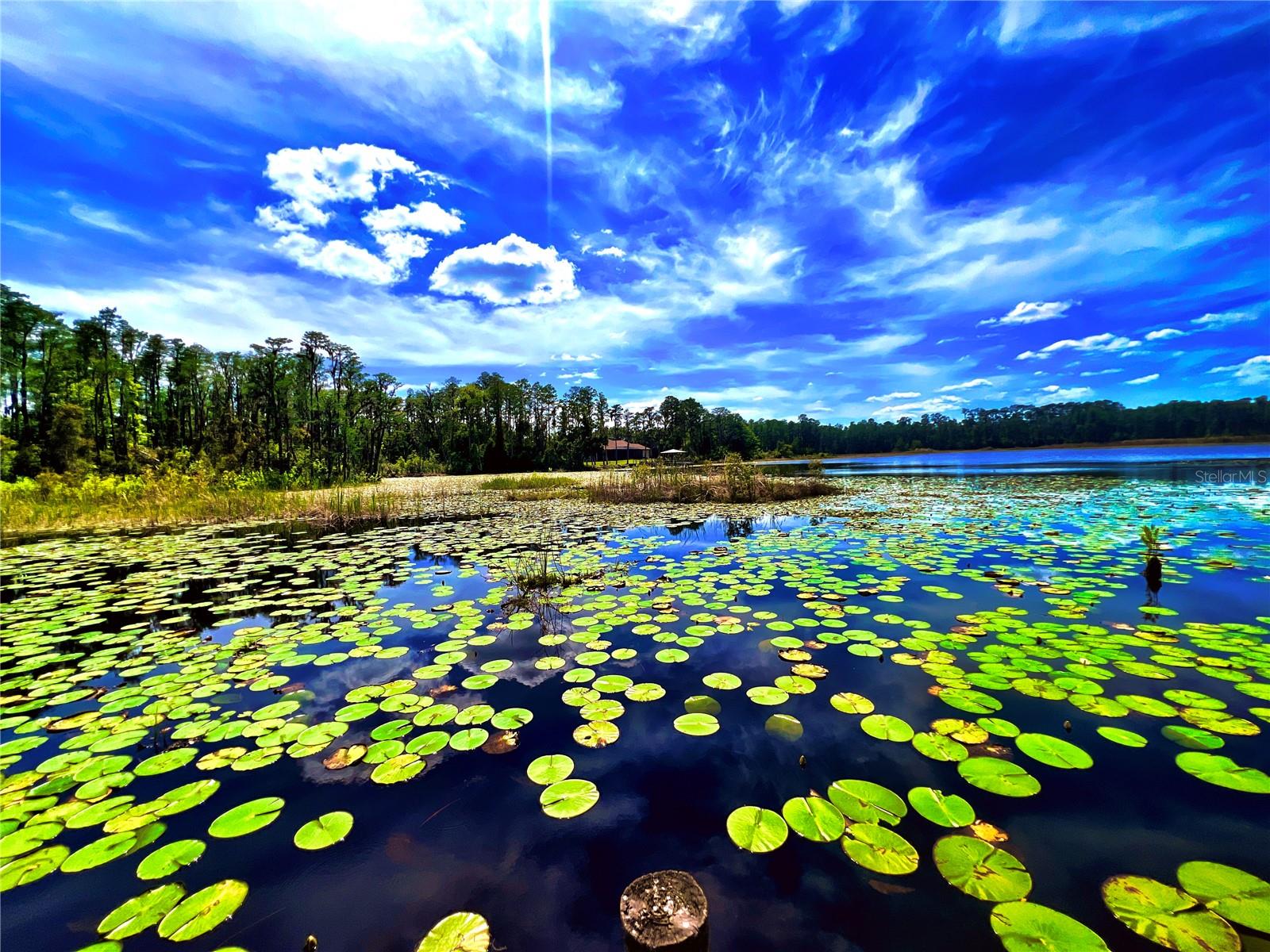 1012 KINGSBOROUGH GARDENS CT, LUTZ, FL, 33548