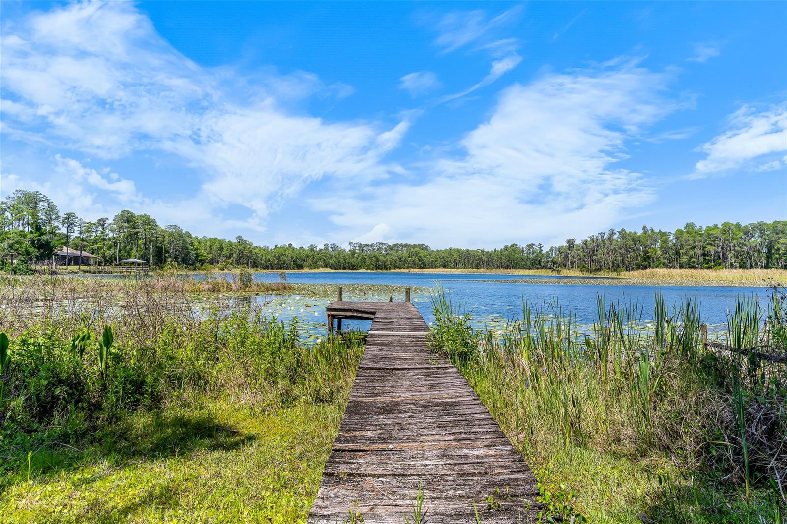 1012 KINGSBOROUGH GARDENS CT, LUTZ, FL, 33548