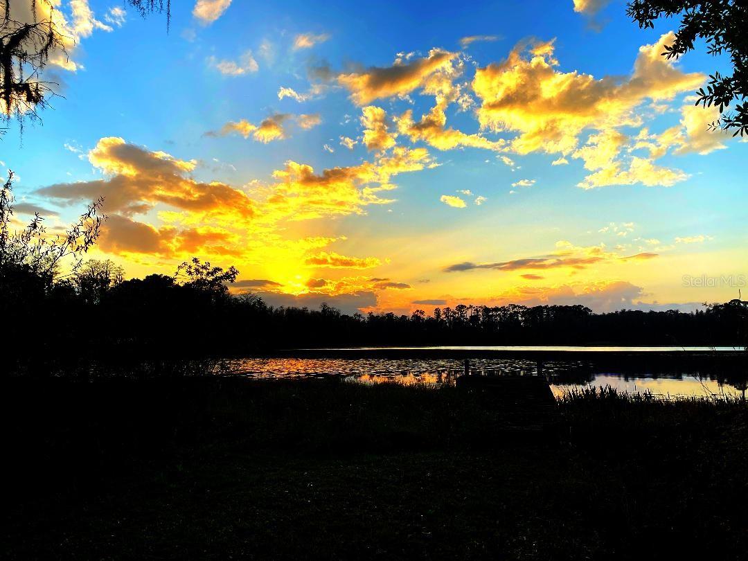 1012 KINGSBOROUGH GARDENS CT, LUTZ, FL, 33548