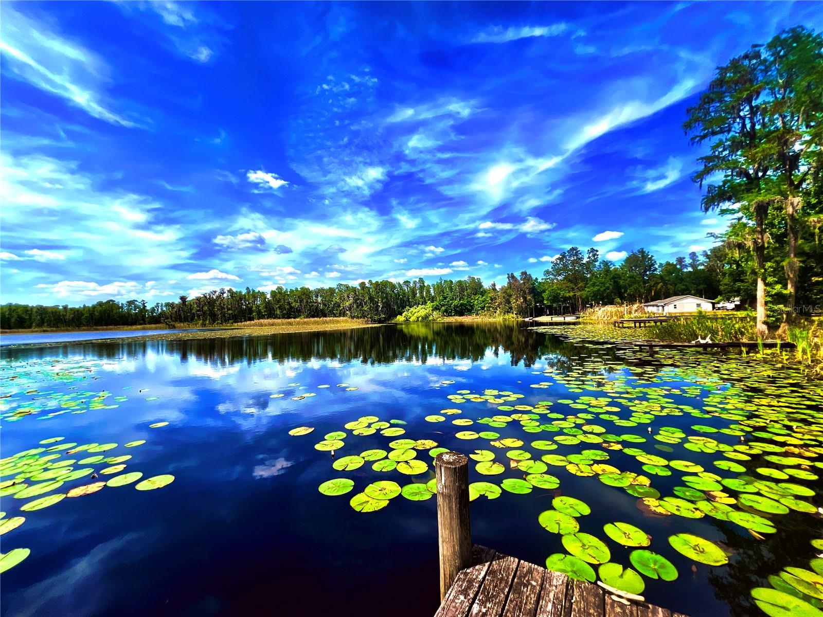 1012 KINGSBOROUGH GARDENS CT, LUTZ, FL, 33548