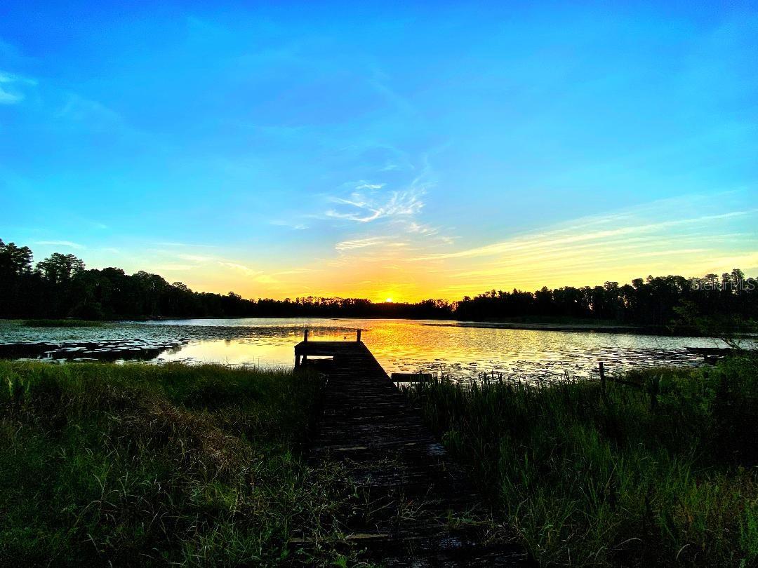 1012 KINGSBOROUGH GARDENS CT, LUTZ, FL, 33548