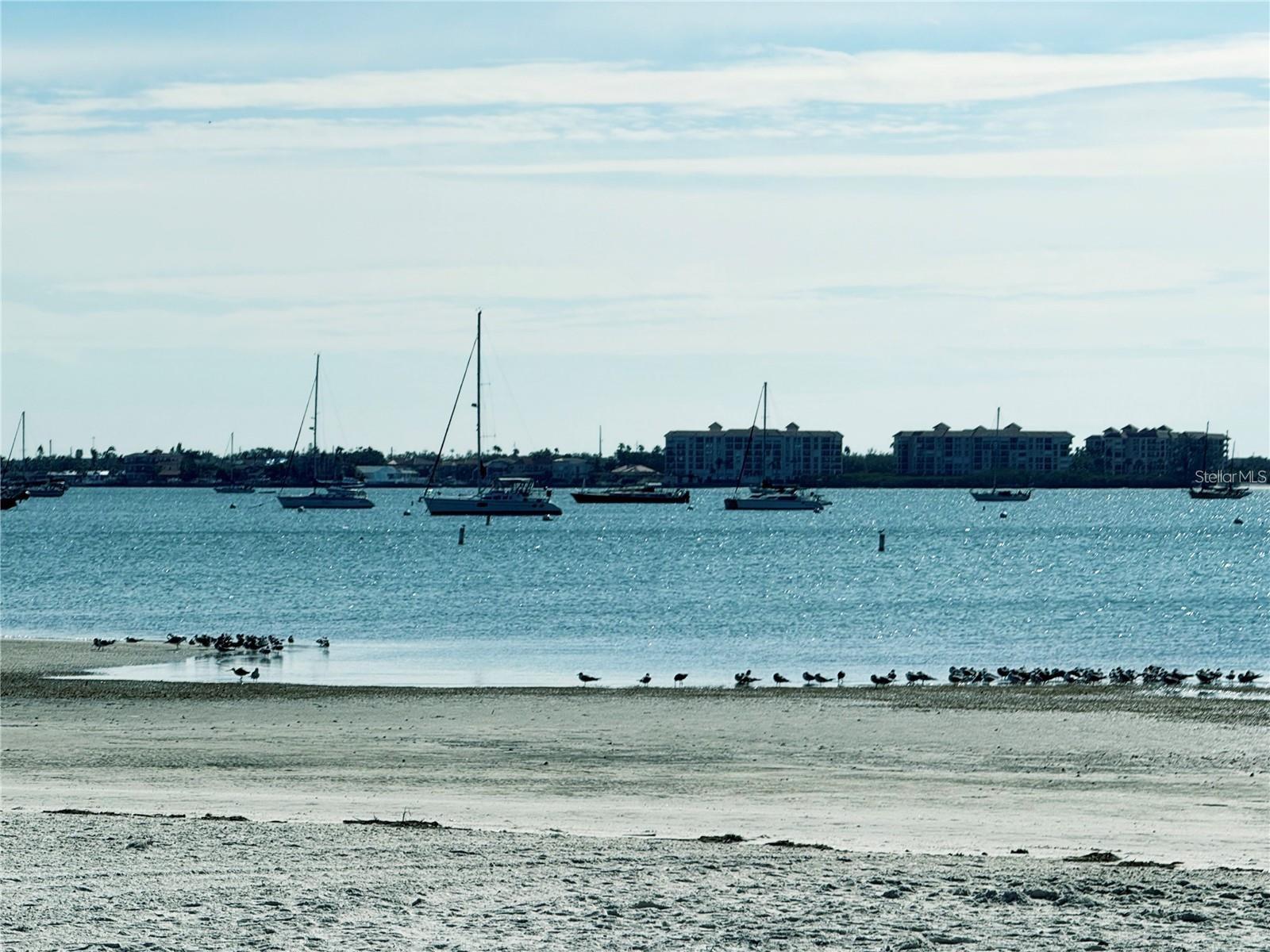 2850 59TH ST S #205, GULFPORT, FL, 33707