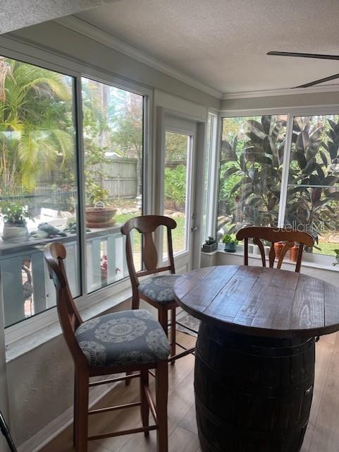 140 PATTY ANN BLVD, PALM HARBOR, FL, 34683