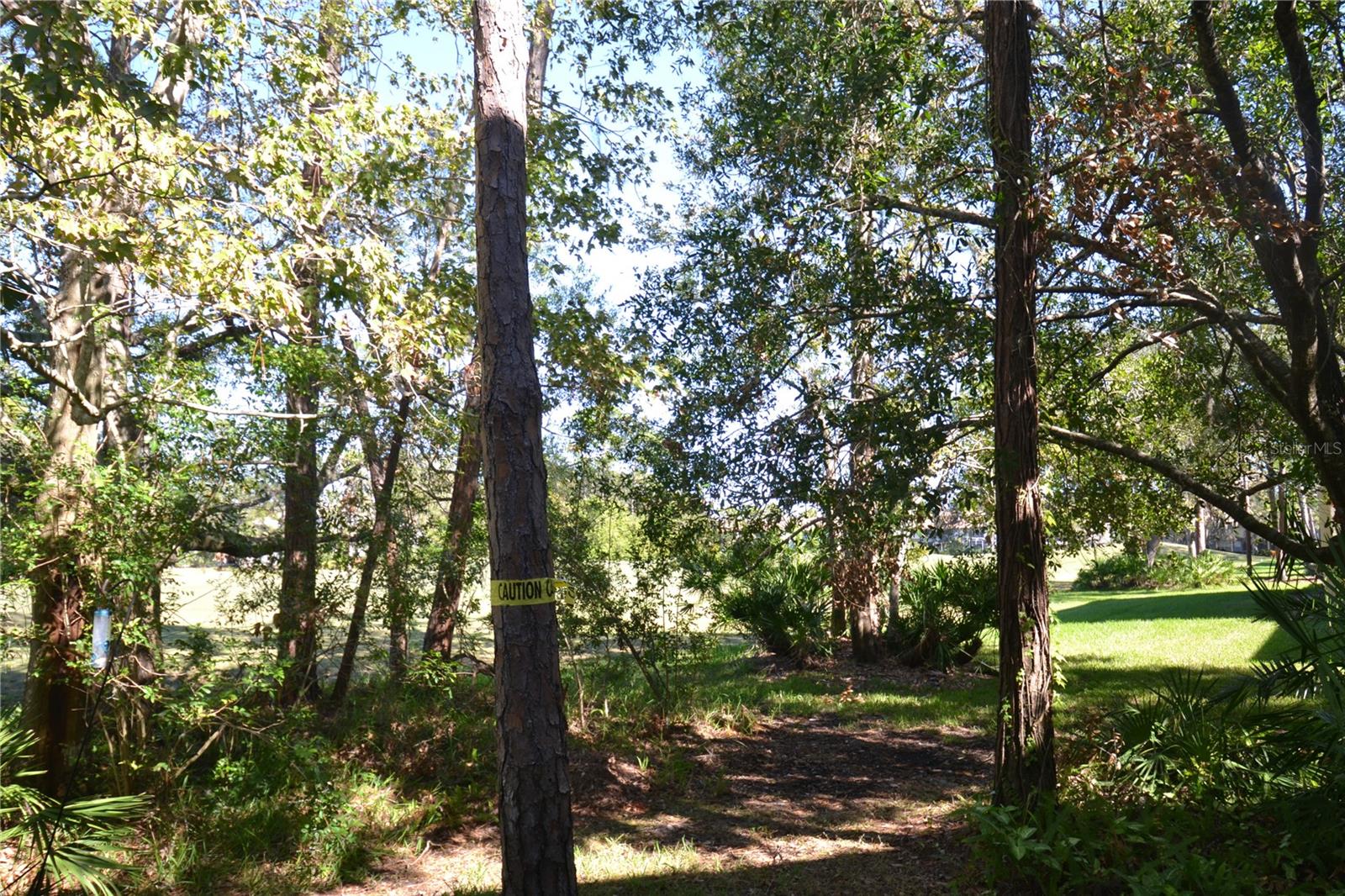 112 LINDSAY LN, OLDSMAR, FL, 34677