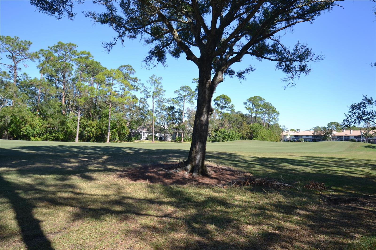 112 LINDSAY LN, OLDSMAR, FL, 34677