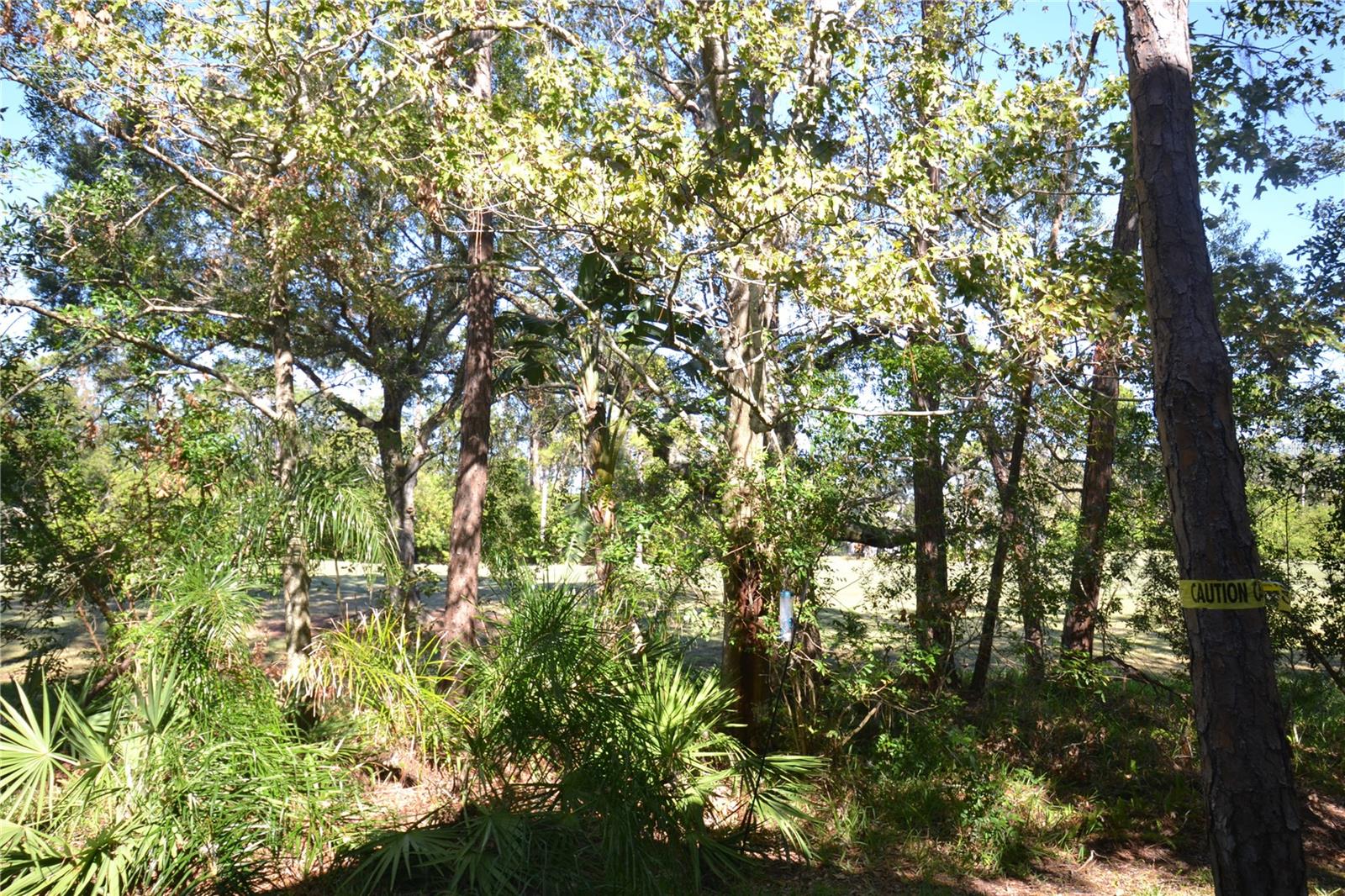 112 LINDSAY LN, OLDSMAR, FL, 34677