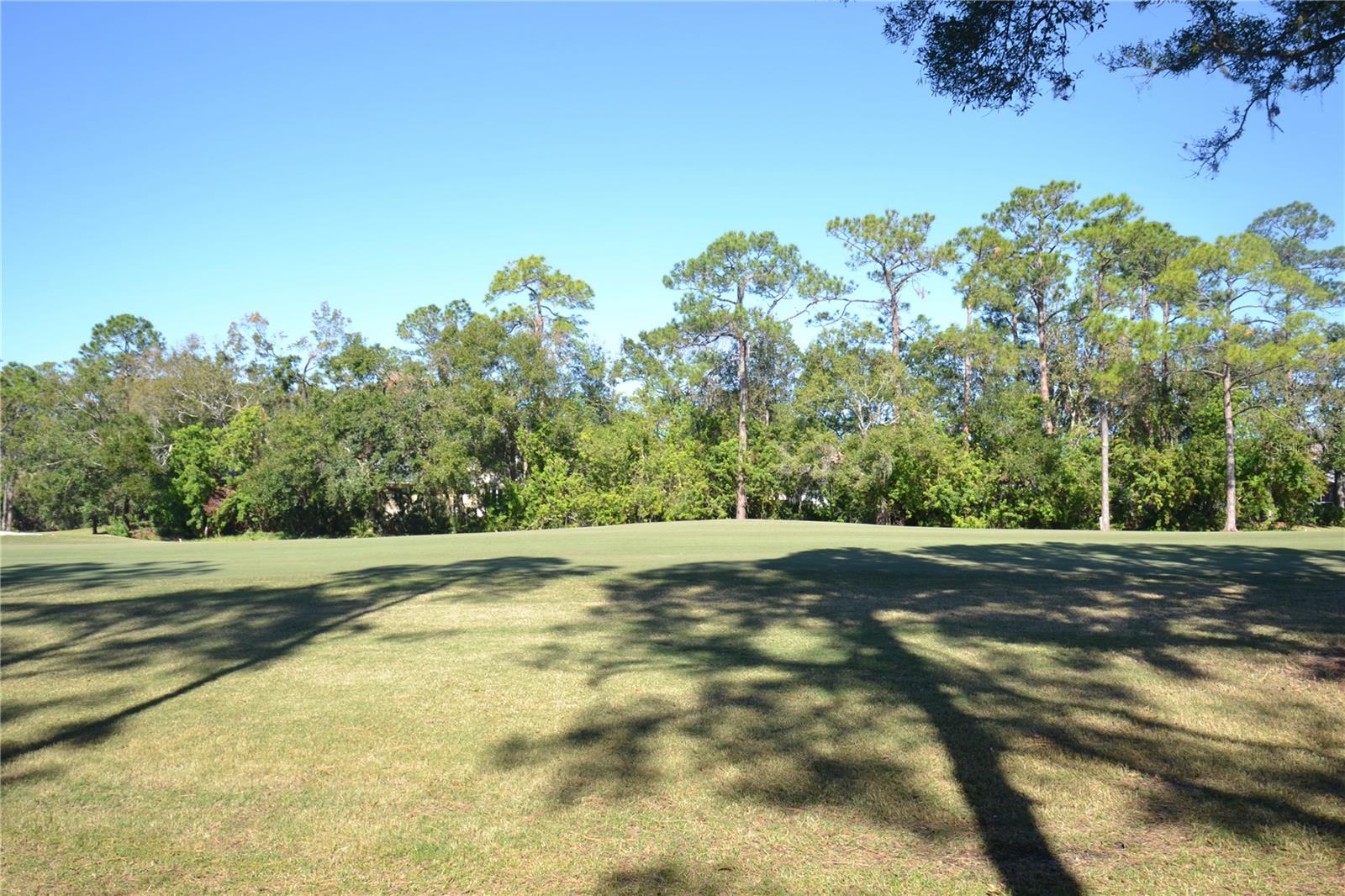 112 LINDSAY LN, OLDSMAR, FL, 34677