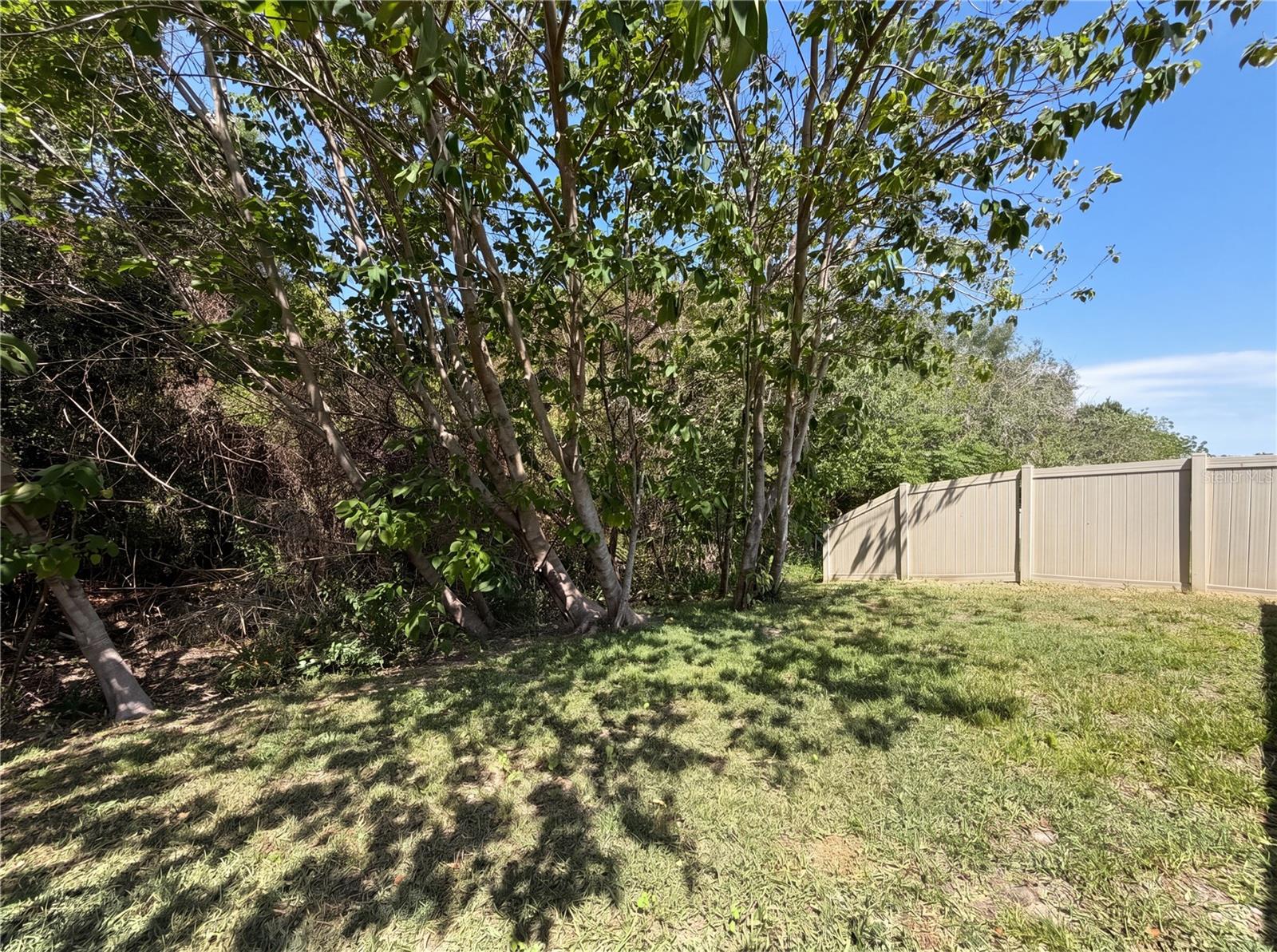 12707 LEMON PEPPER DR, RIVERVIEW, FL, 33578