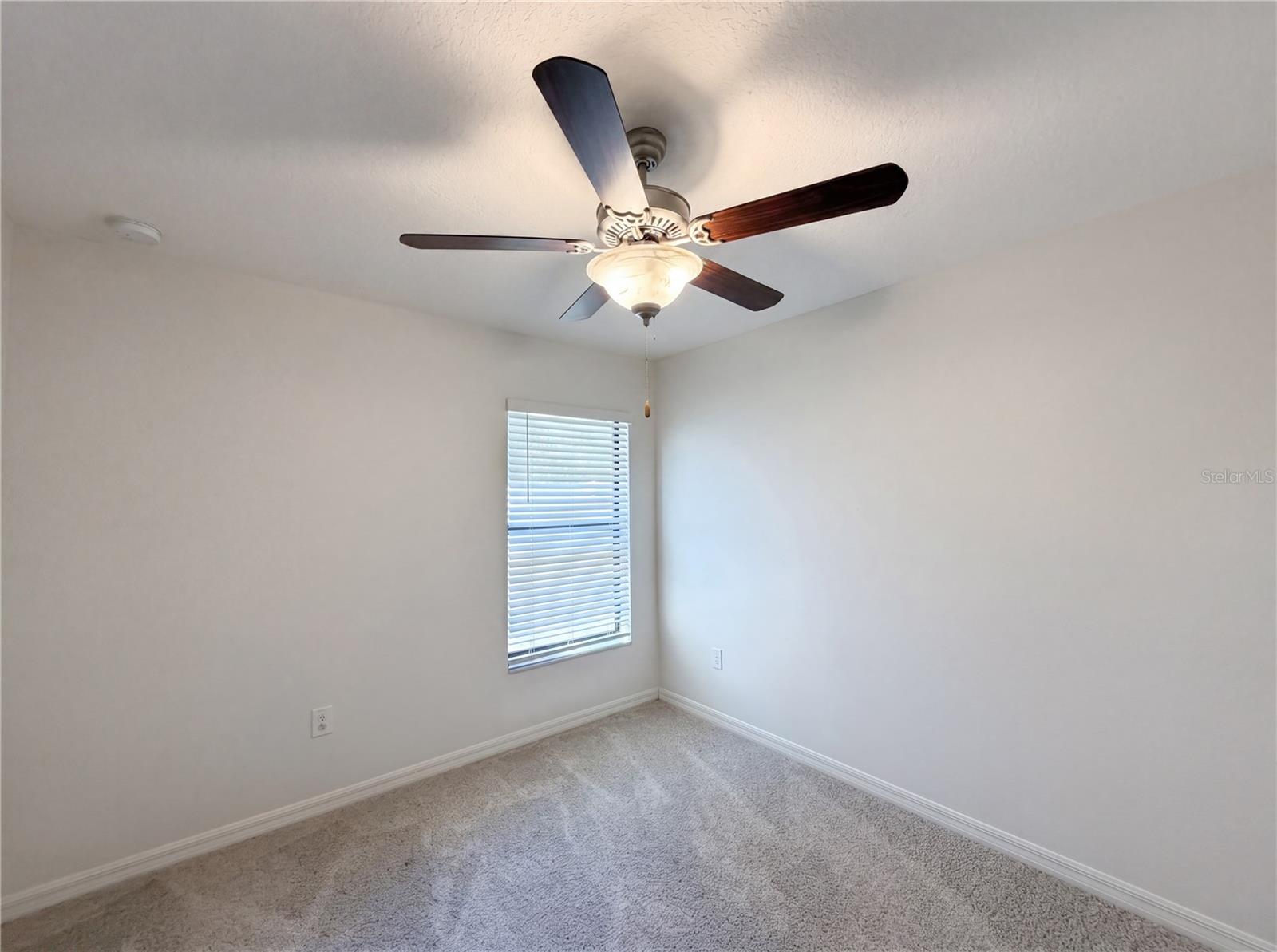 12707 LEMON PEPPER DR, RIVERVIEW, FL, 33578