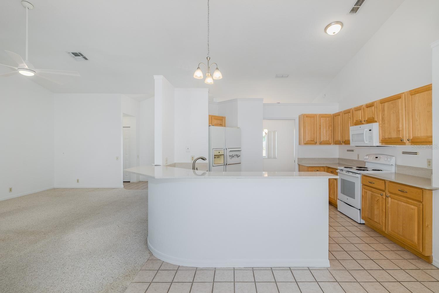 8912 THOREAU PL, HUDSON, FL, 34667