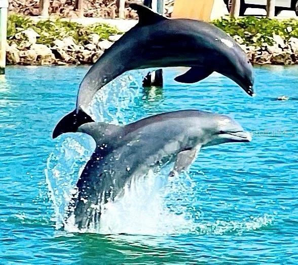 102 2ND AVE, VENICE, FL, 34285