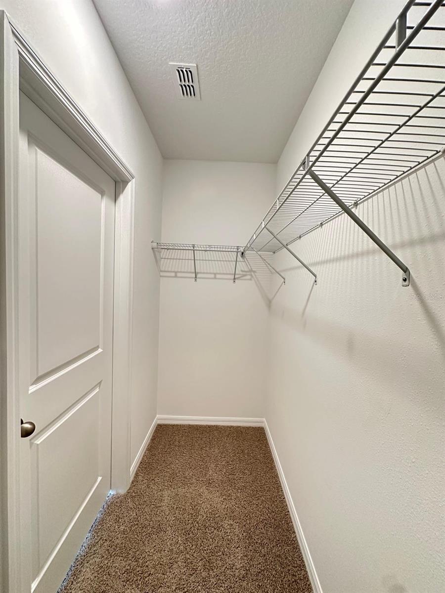 31206 MIDNIGHT SUN WAY, WESLEY CHAPEL, FL, 33545