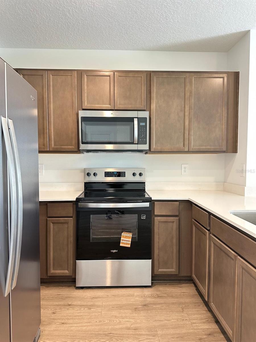 31206 MIDNIGHT SUN WAY, WESLEY CHAPEL, FL, 33545