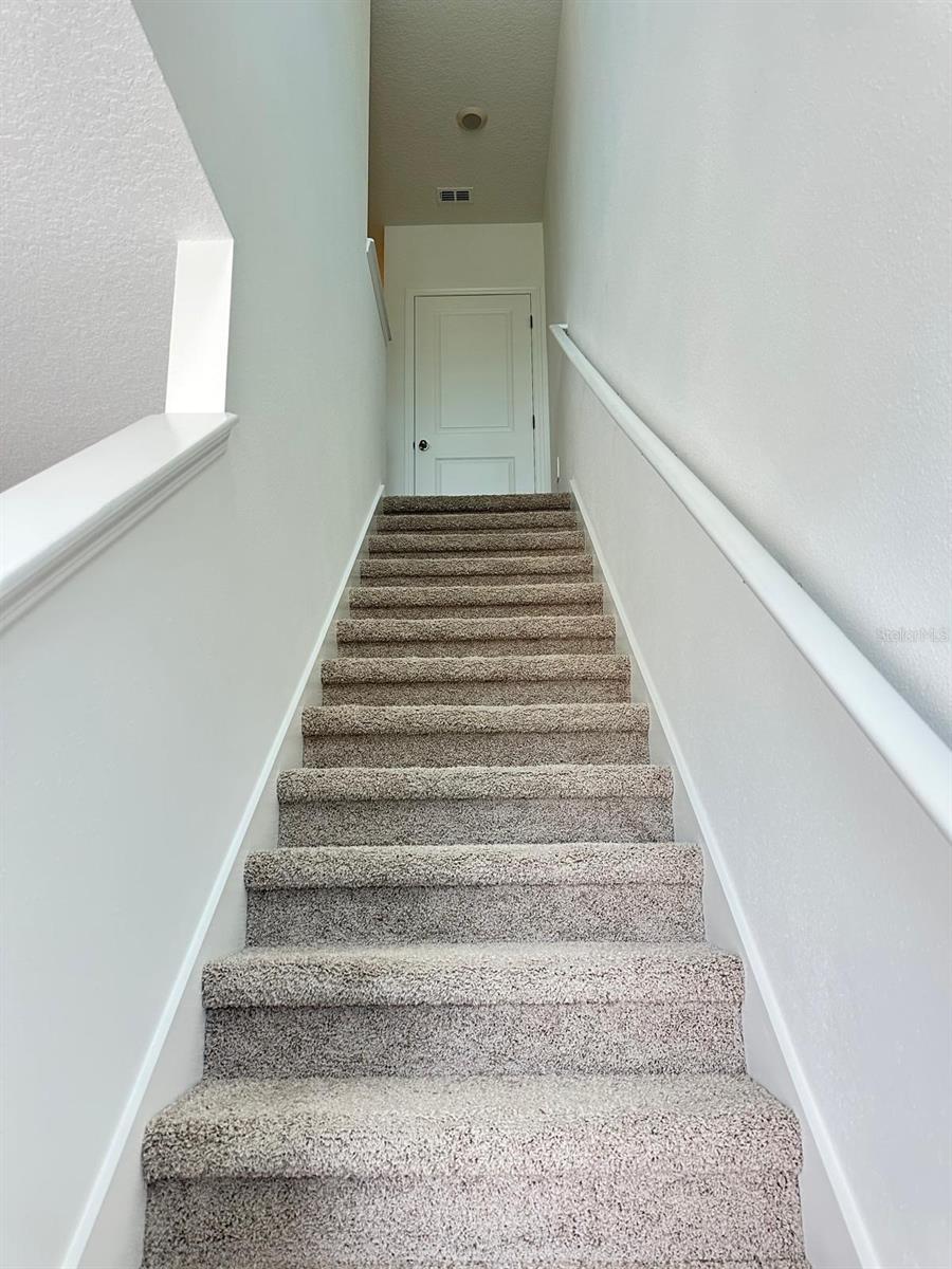 31206 MIDNIGHT SUN WAY, WESLEY CHAPEL, FL, 33545