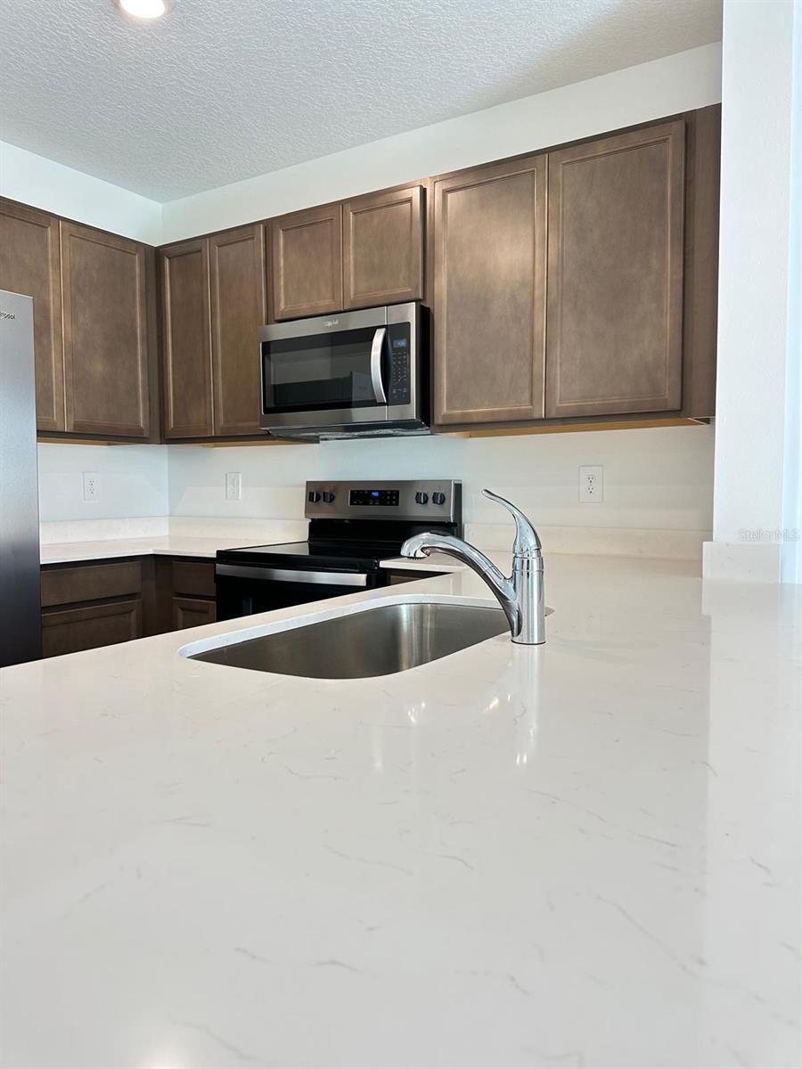 31206 MIDNIGHT SUN WAY, WESLEY CHAPEL, FL, 33545