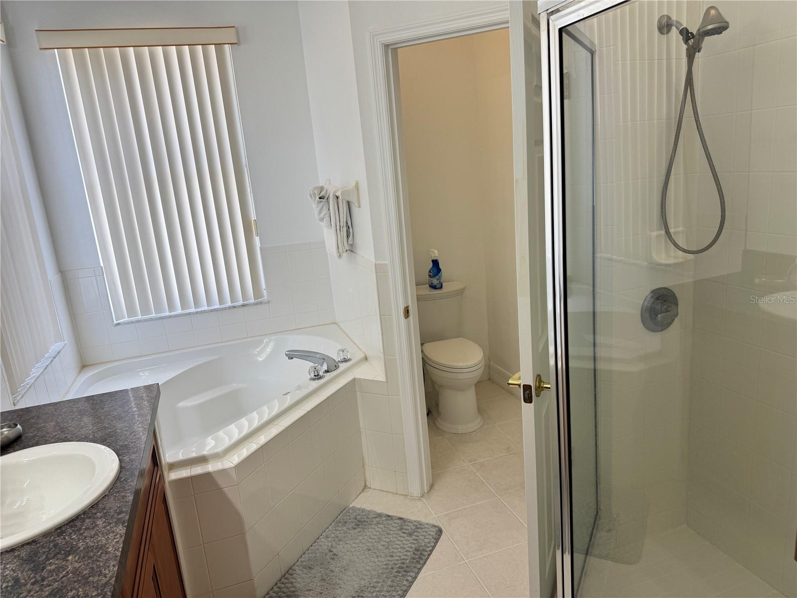 1040 ORISTA DR, DAVENPORT, FL, 33897