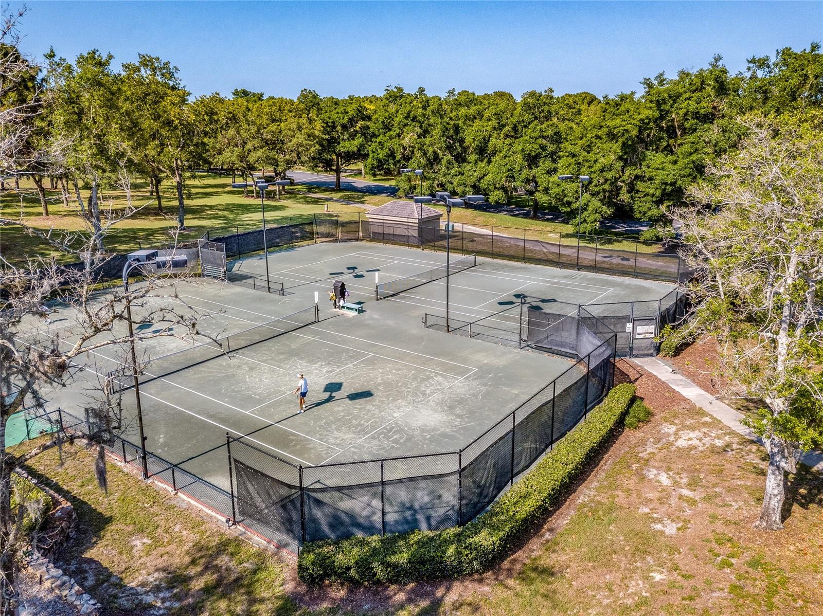 3099 N BARTON CREEK CIR, LECANTO, FL, 34461