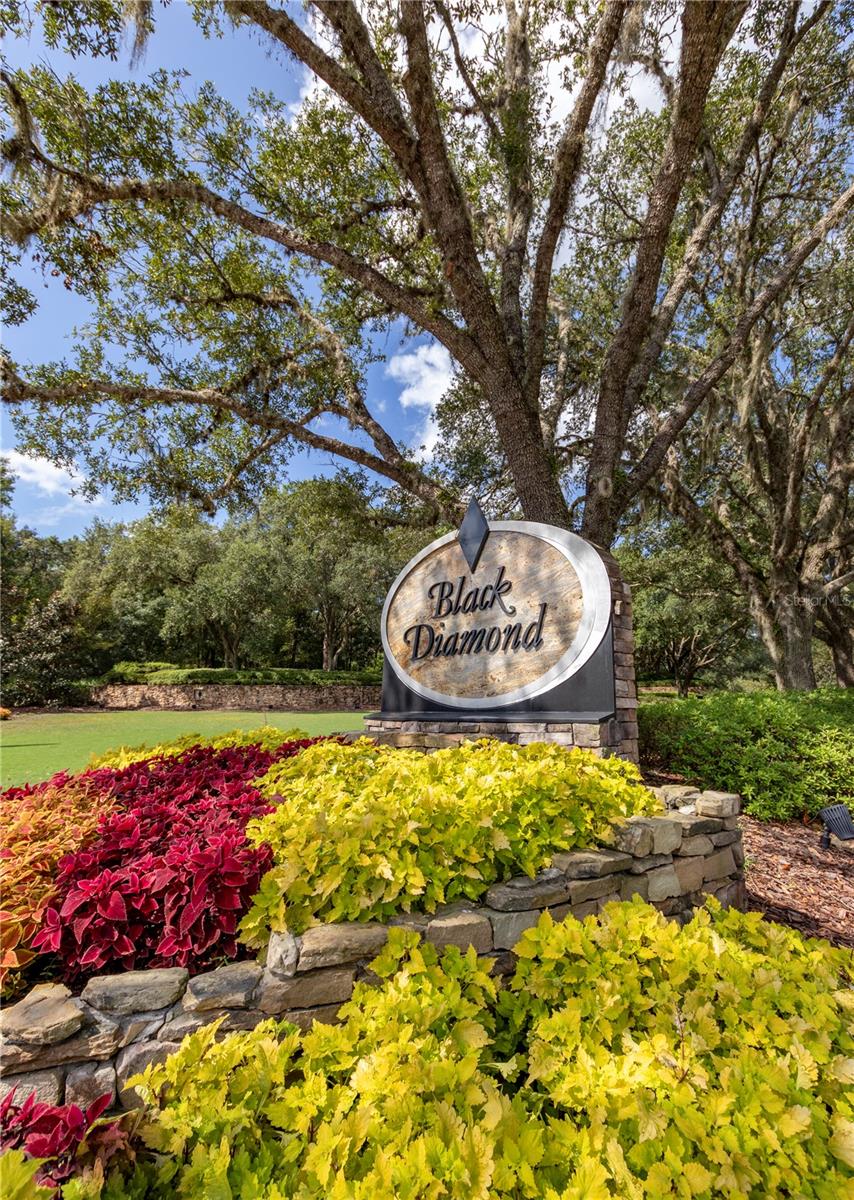 3099 N BARTON CREEK CIR, LECANTO, FL, 34461