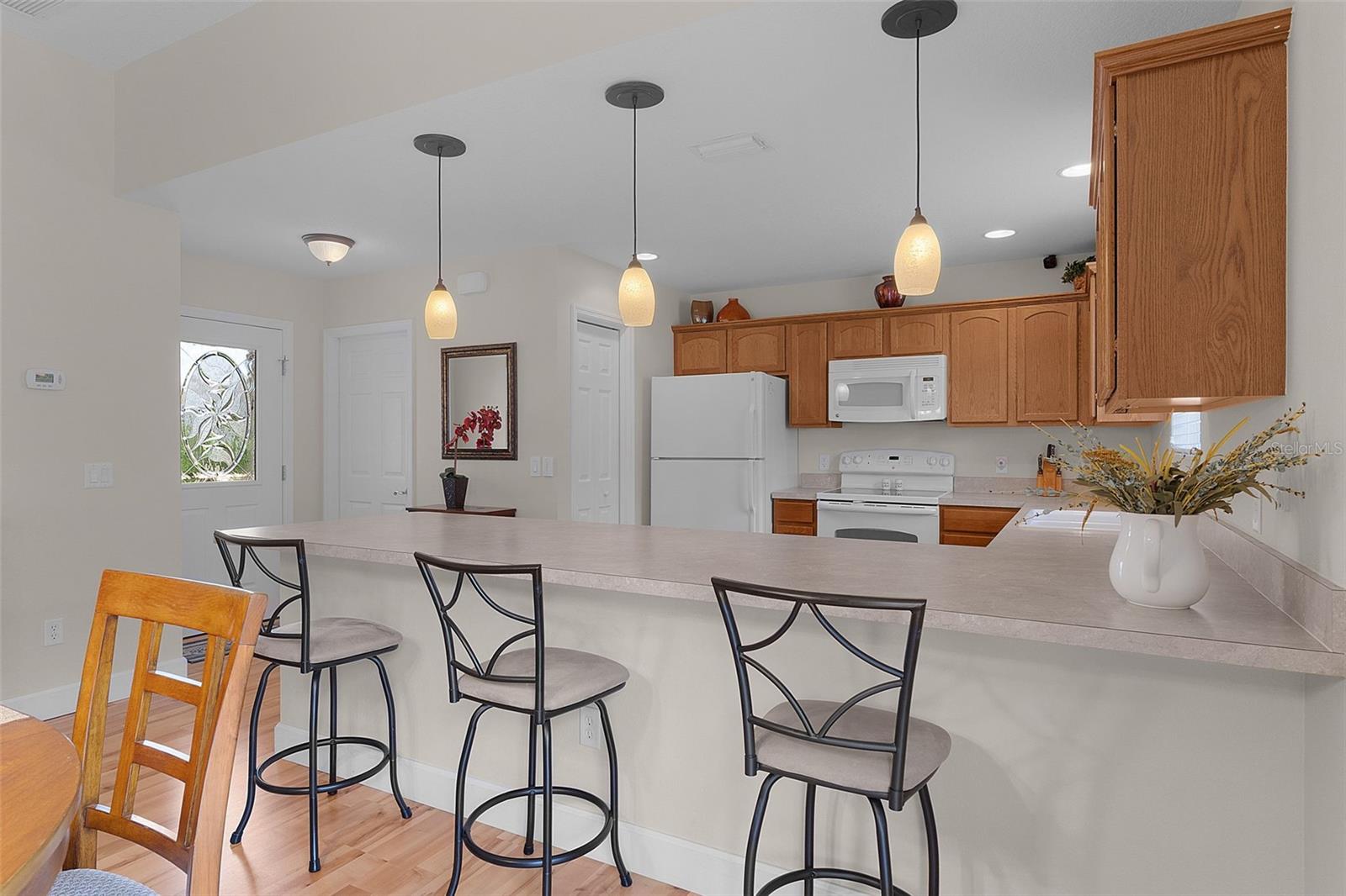 870 ORWELL ST, THE VILLAGES, FL, 32162