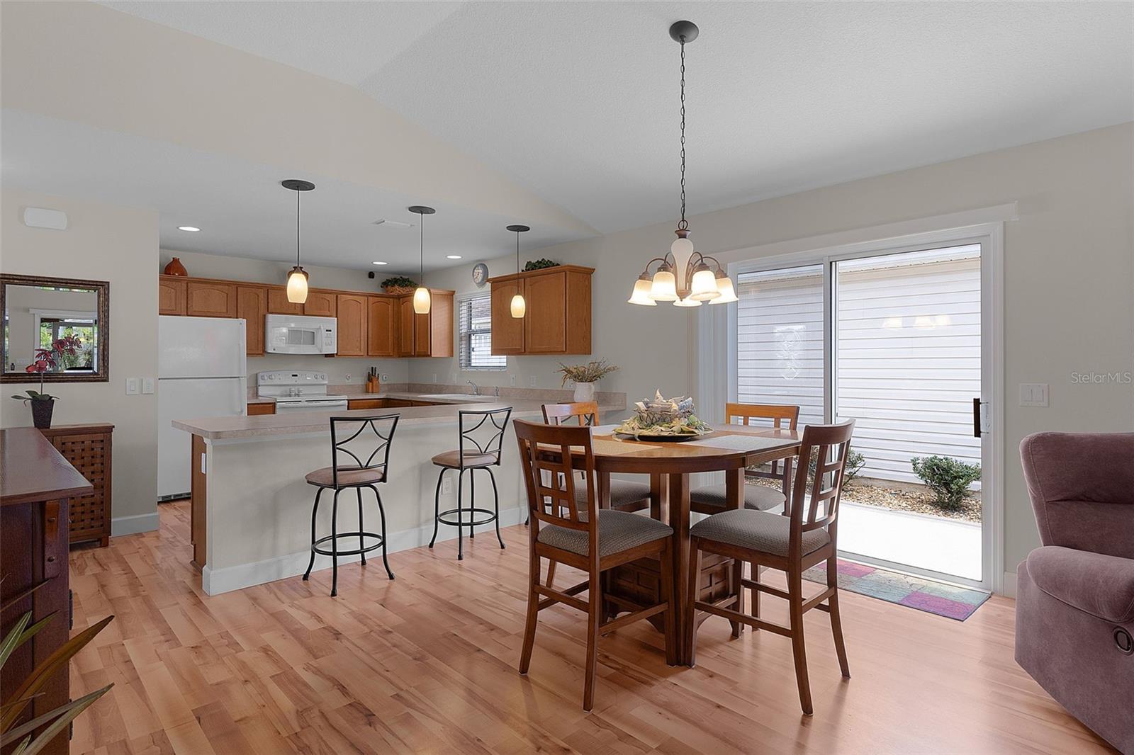 870 ORWELL ST, THE VILLAGES, FL, 32162