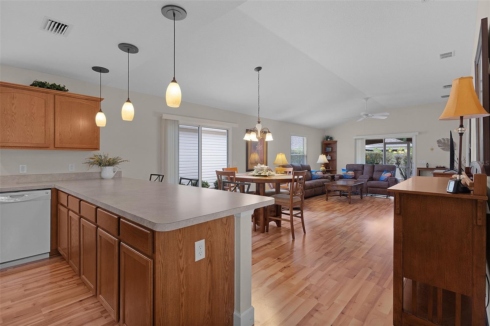 870 ORWELL ST, THE VILLAGES, FL, 32162