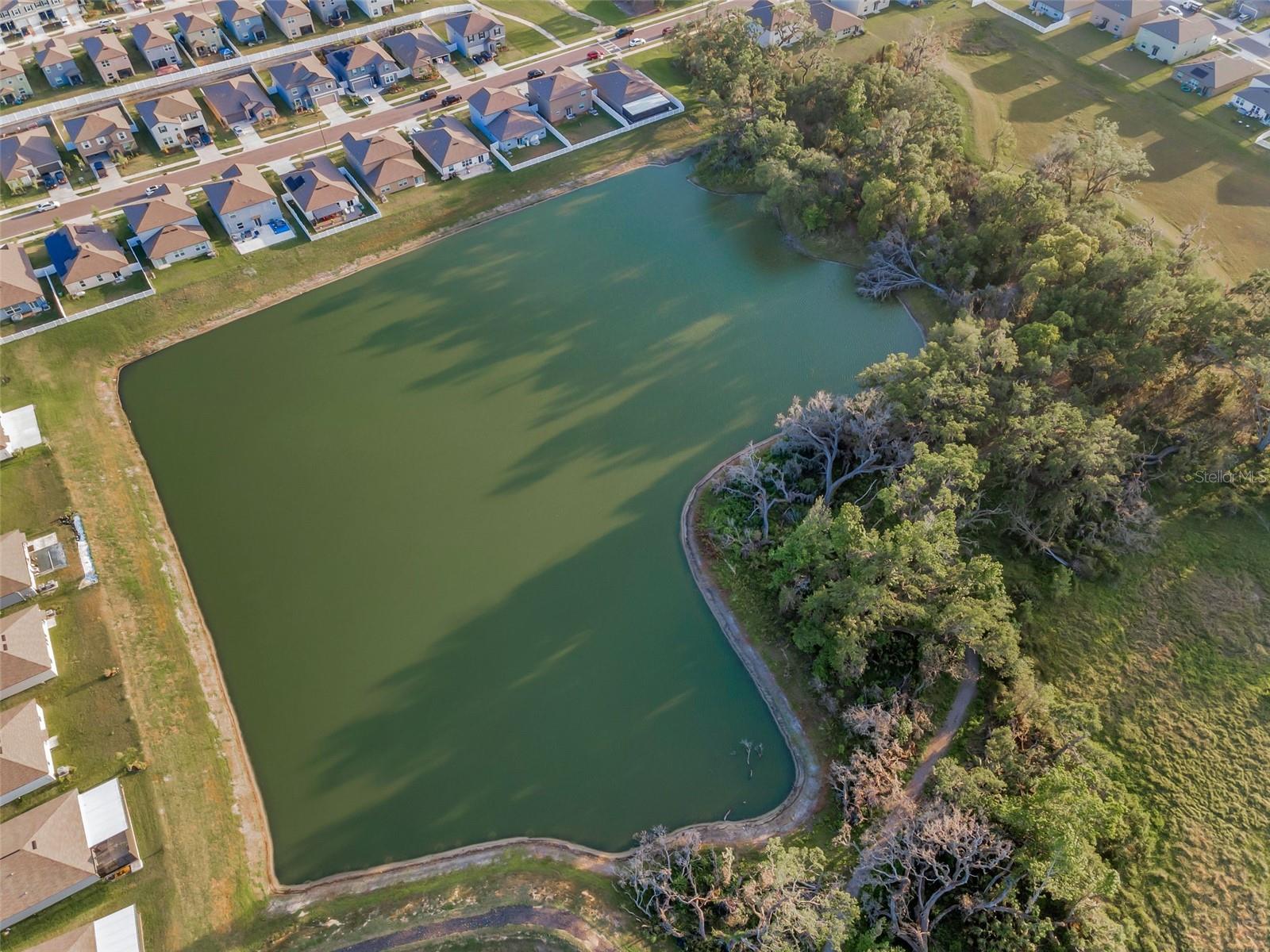 36419 FLATS ST, ZEPHYRHILLS, FL, 33541