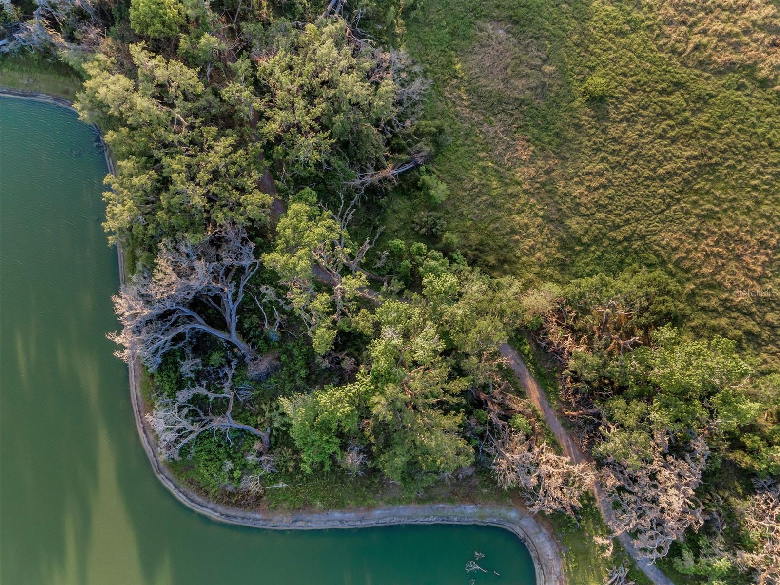 36419 FLATS ST, ZEPHYRHILLS, FL, 33541