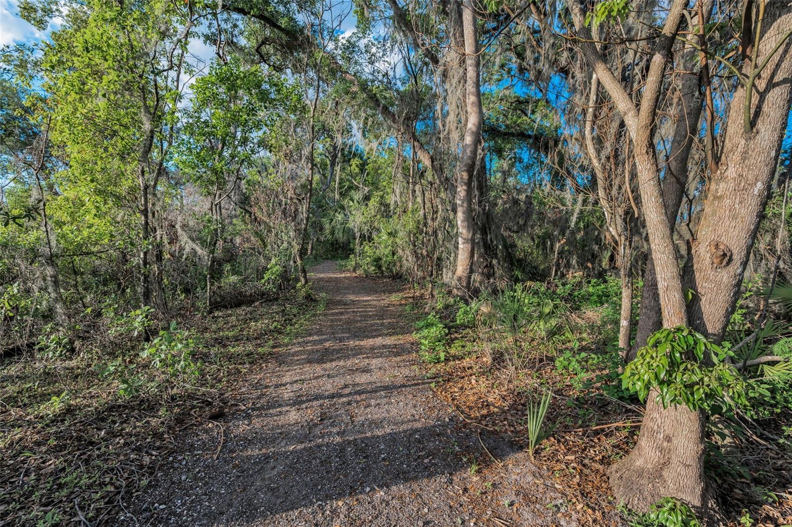 36419 FLATS ST, ZEPHYRHILLS, FL, 33541