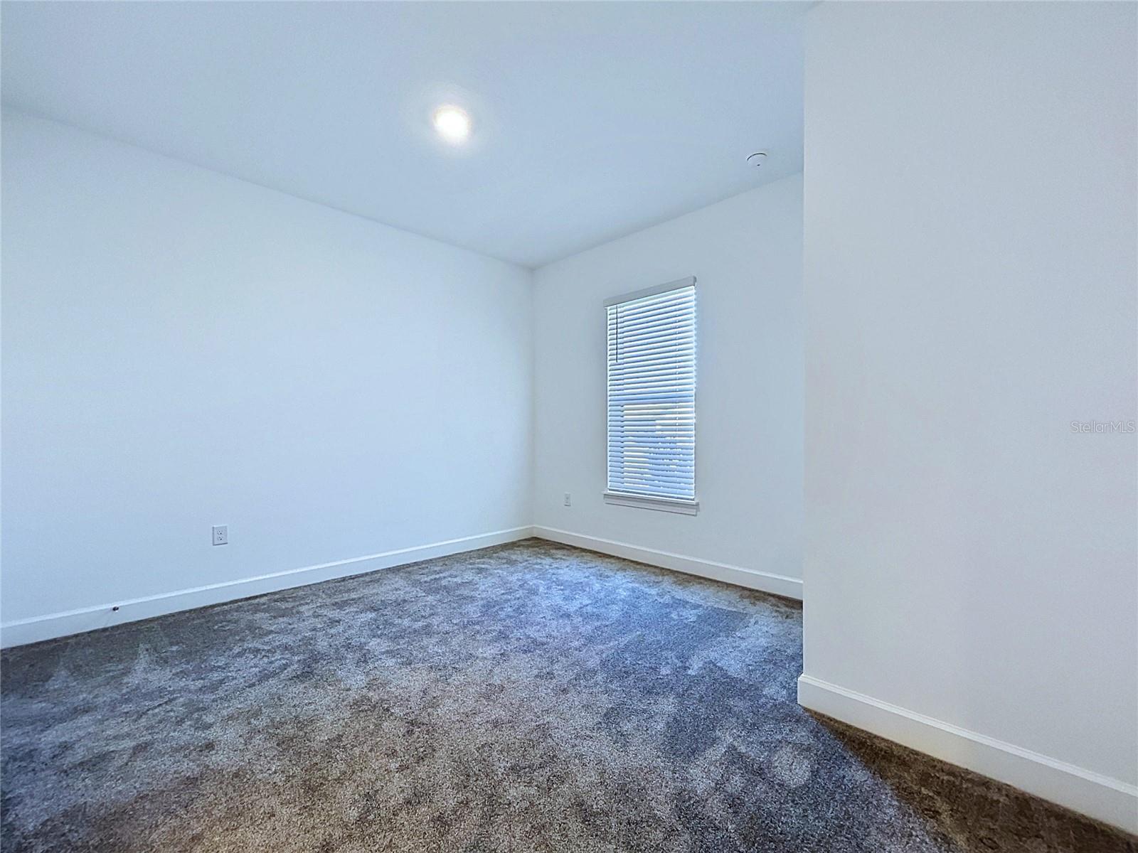 4610 GAROFALO RD, WESLEY CHAPEL, FL, 33543